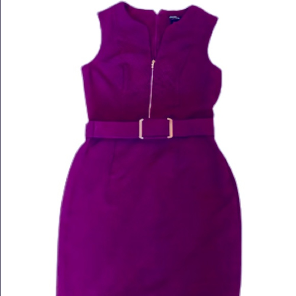 Le Chateau Sheath Purple Dress